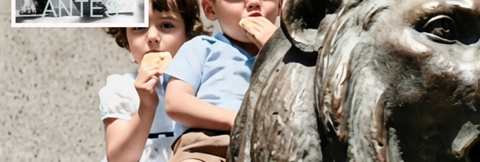 Sesión de Fotos Profesionales Portfolio 16